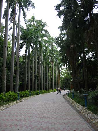 Foto Botanischer Garten - Taipeh