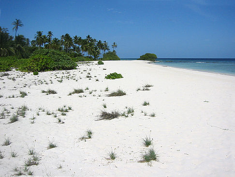 Foto Der weiße Sandstrand