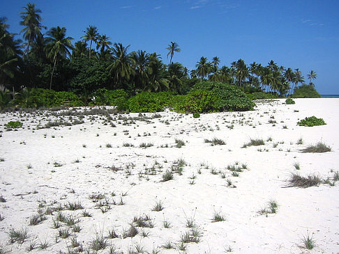 Fotos Der weiße Sandstrand | 