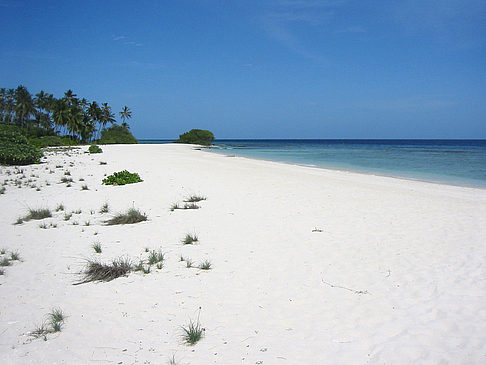 Fotos Der weiße Sandstrand | 