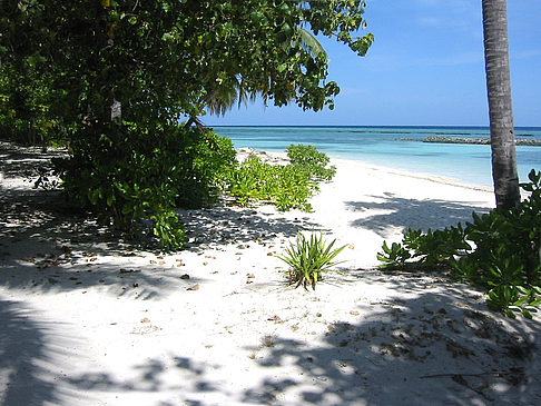 Foto Der weiße Sandstrand