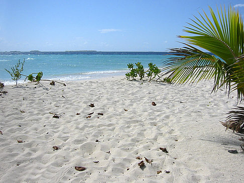 Der weiße Sandstrand Fotos