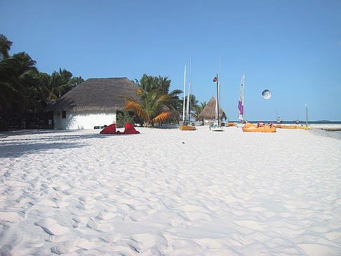 Der weiße Sandstrand der Malediven Foto 