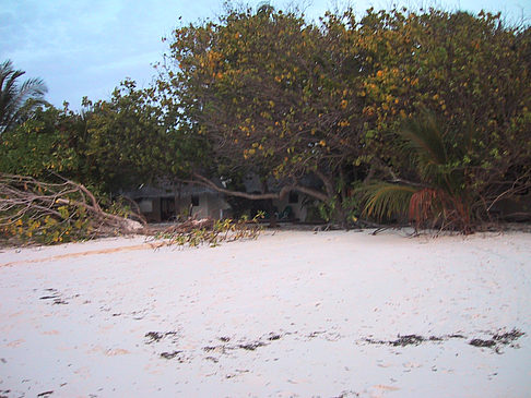 Der weiße Sandstrand der Malediven