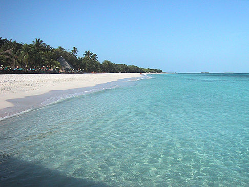 Foto Der weiße Sandstrand der Malediven