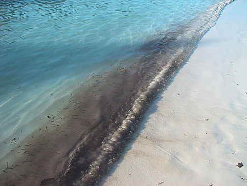 Der weiße Sandstrand der Malediven