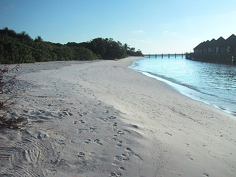 Der weiße Sandstrand der Malediven Foto 