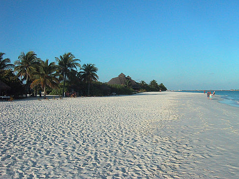 Der weiße Sandstrand der Malediven Foto 