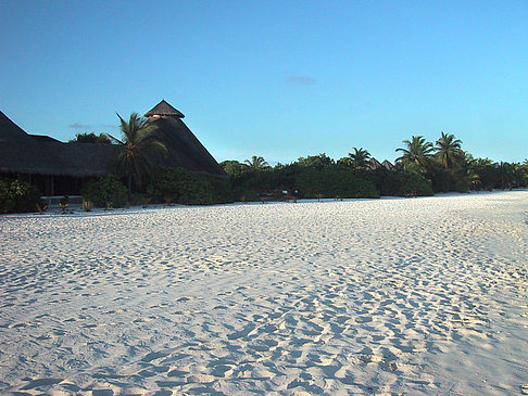 Der weiße Sandstrand der Malediven Foto 