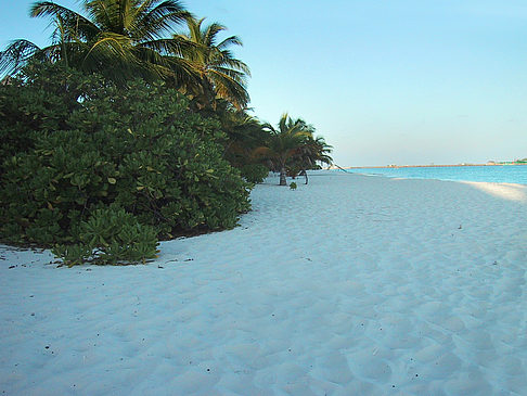 Fotos Der weiße Sandstrand der Malediven