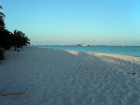 Der weiße Sandstrand der Malediven Foto 