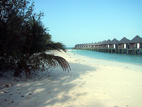 Der weiße Sandstrand der Malediven