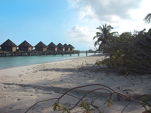 Der weiße Sandstrand der Malediven Foto 