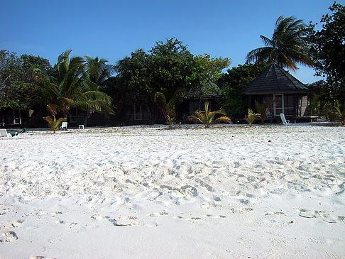 Foto Der weiße Sandstrand der Malediven - 