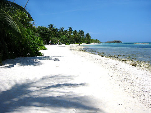 Felsiger Strand Foto 