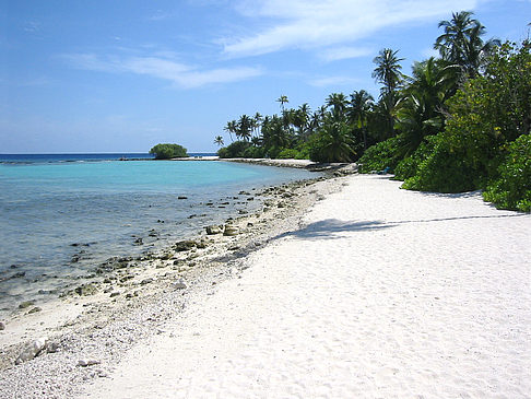 Felsiger Strand Foto 