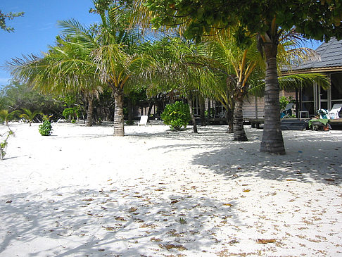 Wohnungen am Strand