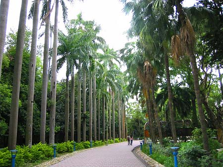 Foto Botanischer Garten - Taipeh