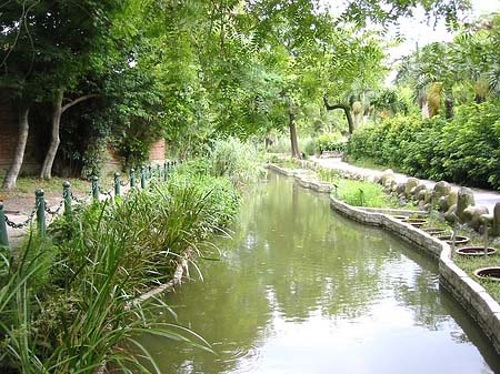 Fotos Botanischer Garten | Taipeh