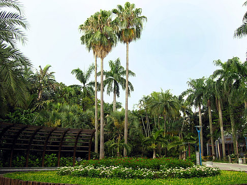 Fotos Botanischer Garten