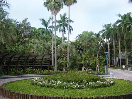 Fotos Botanischer Garten