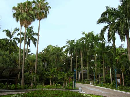 Fotos Botanischer Garten | Taipeh