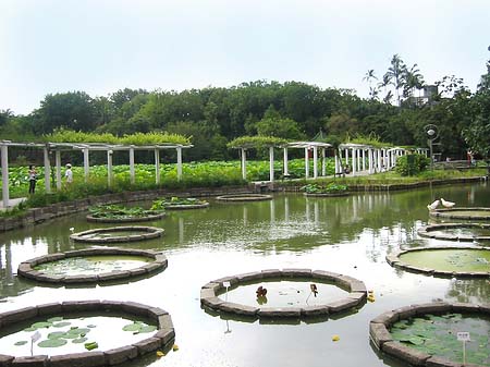 Fotos Botanischer Garten