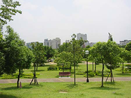 Foto Daan Park - Taipeh