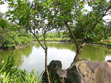 Foto Daan Park - Taipeh