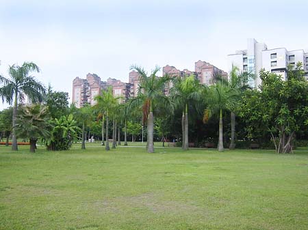 Foto Daan Park - Taipeh