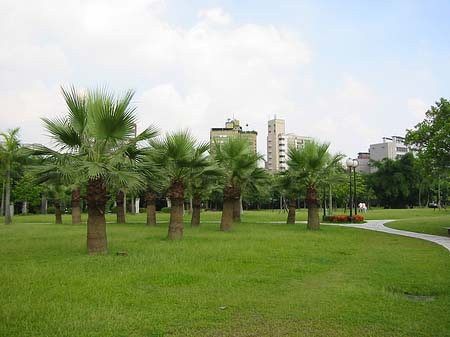 Foto Daan Park