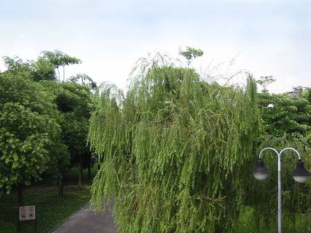 Foto Daan Park - Taipeh