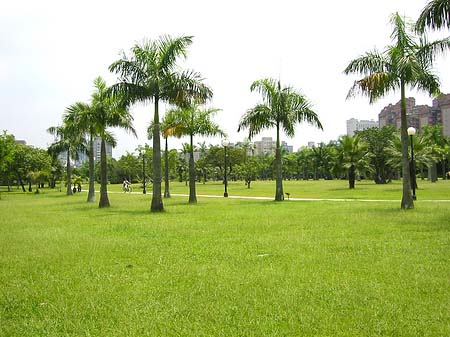 Foto Daan Park - Taipeh