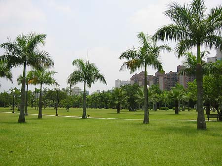 Foto Daan Park - Taipeh