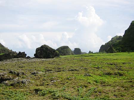 Green Island Foto 