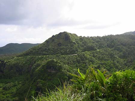 Green Island Foto 