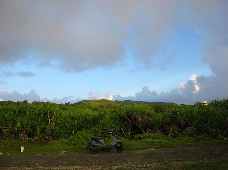 Green Island Foto 