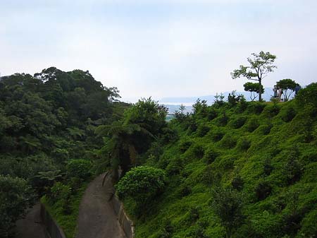 Juming Museum