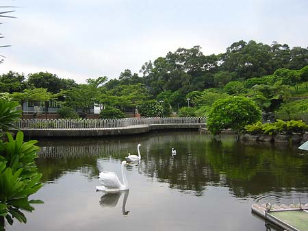 Juming Museum Fotos