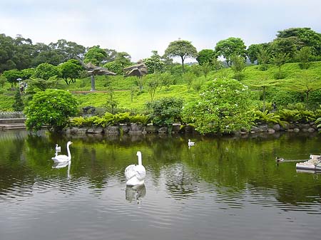 Juming Museum