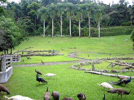 Sun Moon Lake Foto 